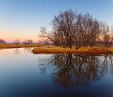 Trees Beside The Jock River_10458-9